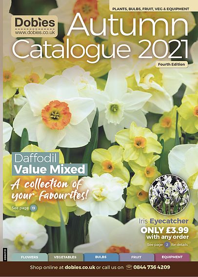 Autumn Catalogue 2021 - 4th Edition